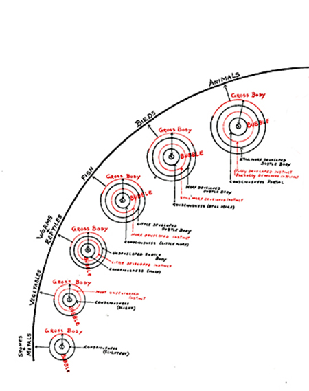 Divine Theme Chart